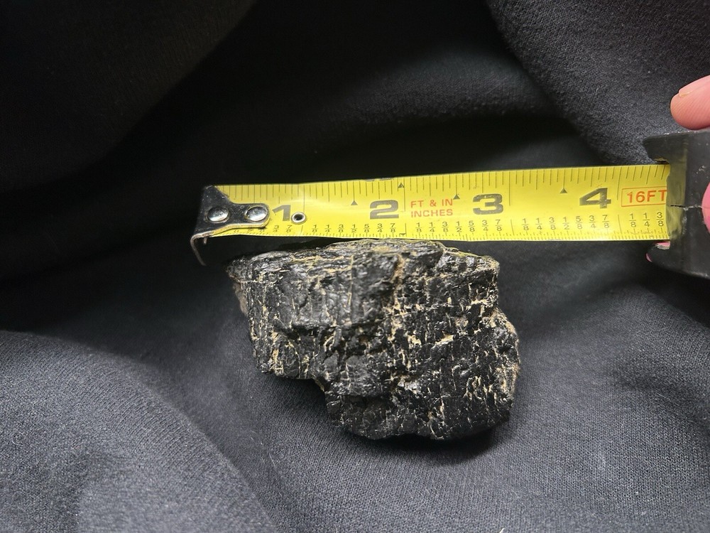 Lower Eagle Ford Cretaceous Coal Zone- Carbonized Dinosaur Age Material, Texas