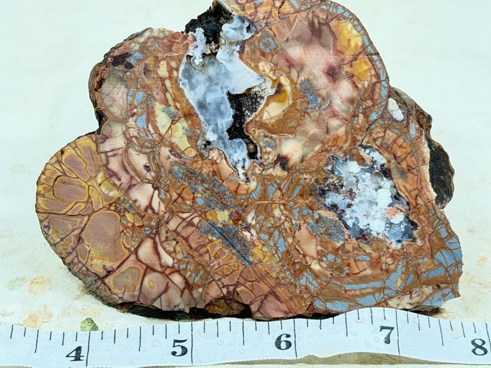 Cold Mountain Jasper Half Nodule, Lot#203