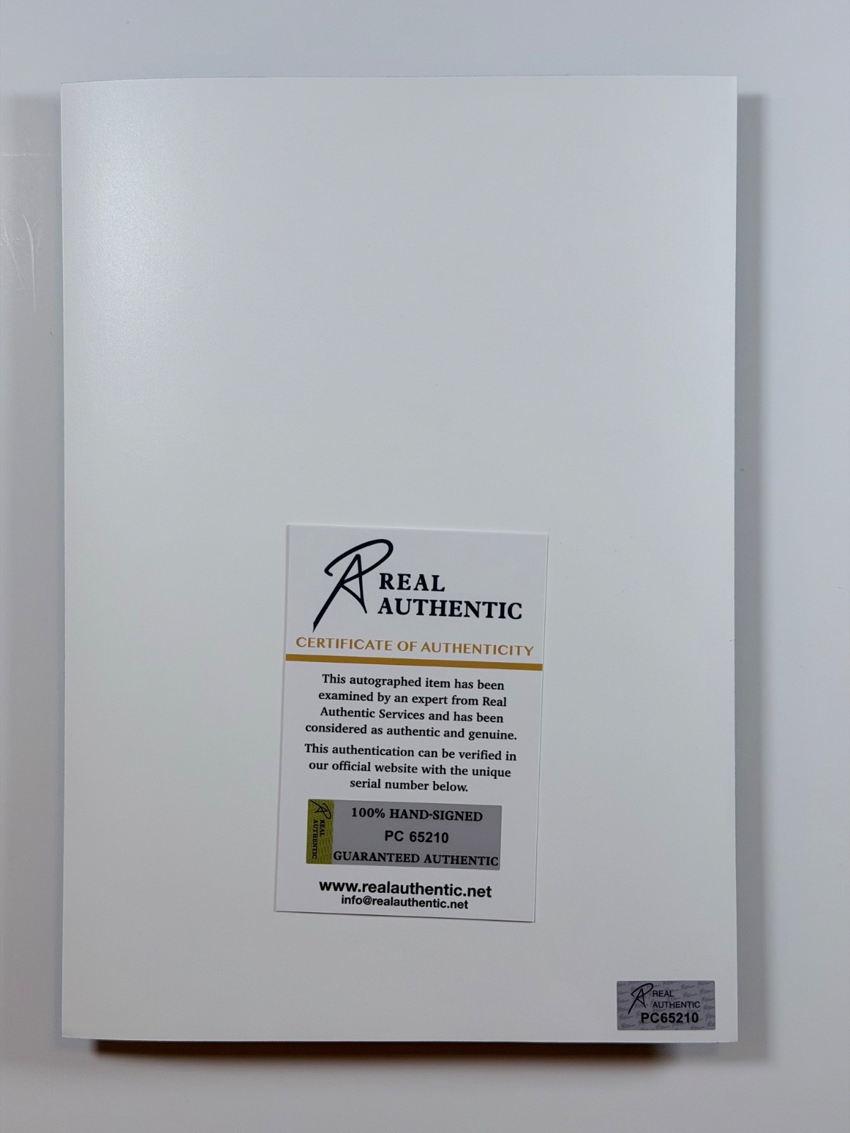 Taylor Momsen Signed 8x11.5 Photo The Pretty Reckless Autograph