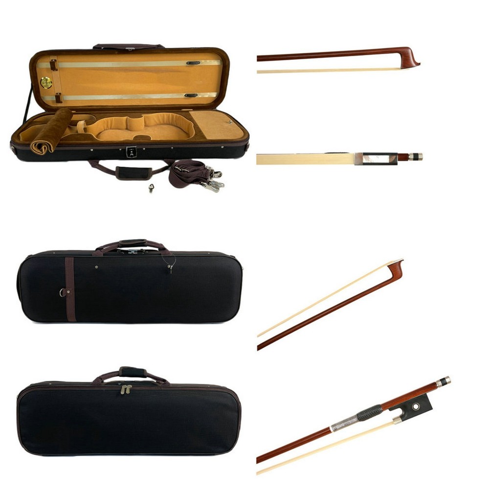 Amazing Sounding Violin Master Wang's Own Work No. W99