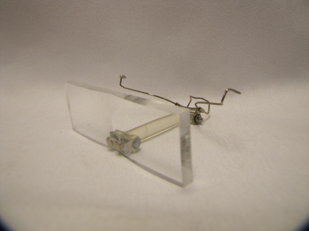 Vintage Magnifier Glasses in Case