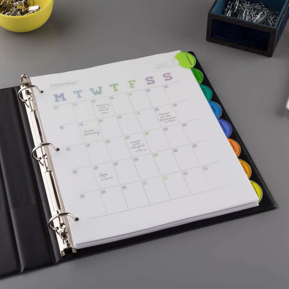 Insertable Style Edge Plastic Dividers for 3 Ring Binders, 8-Tab Set, Multicolor