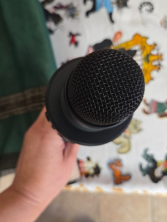 Core Innovations Wireless Bluetooth Karoake Microphone Black Handheld Mic