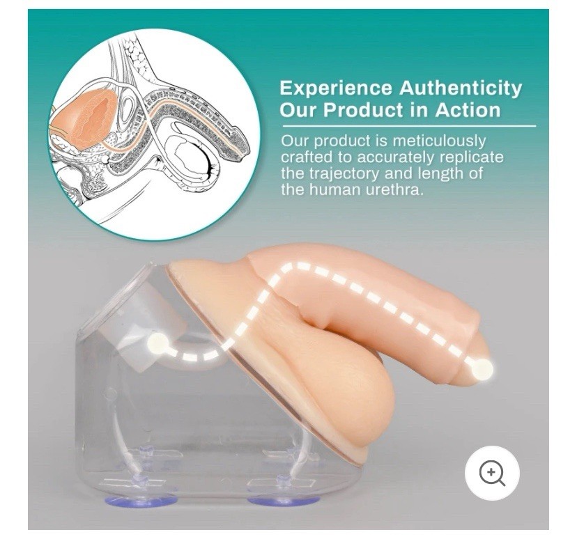 MedEduQuest Male Urethral Catherization Simulator For Students