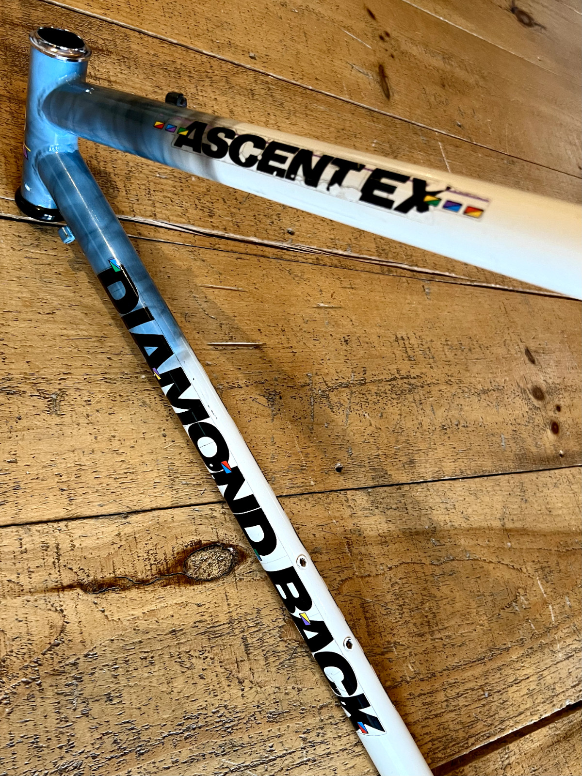 Vintage 90s Diamondback Ascent EX 19.5" Steel Mountain Bike Frame White Blue Mix