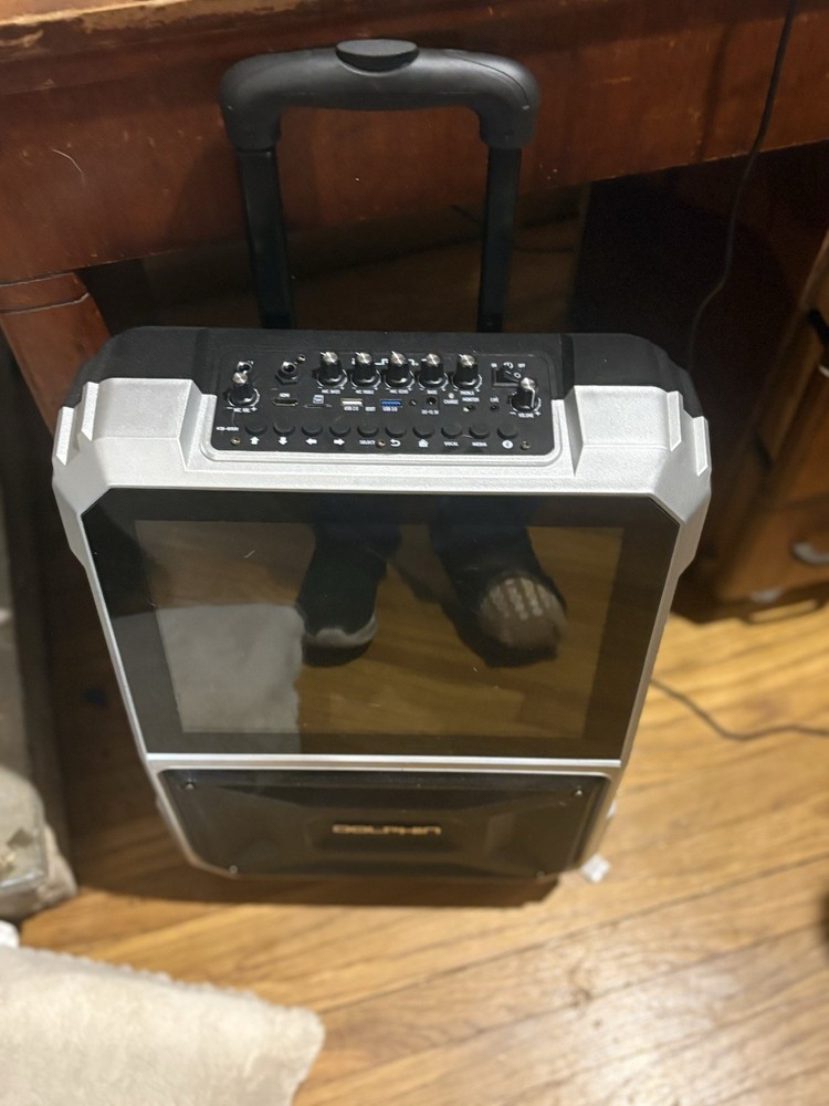 Dolphin Karaoke Machine