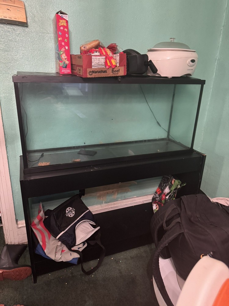 Fish Tank