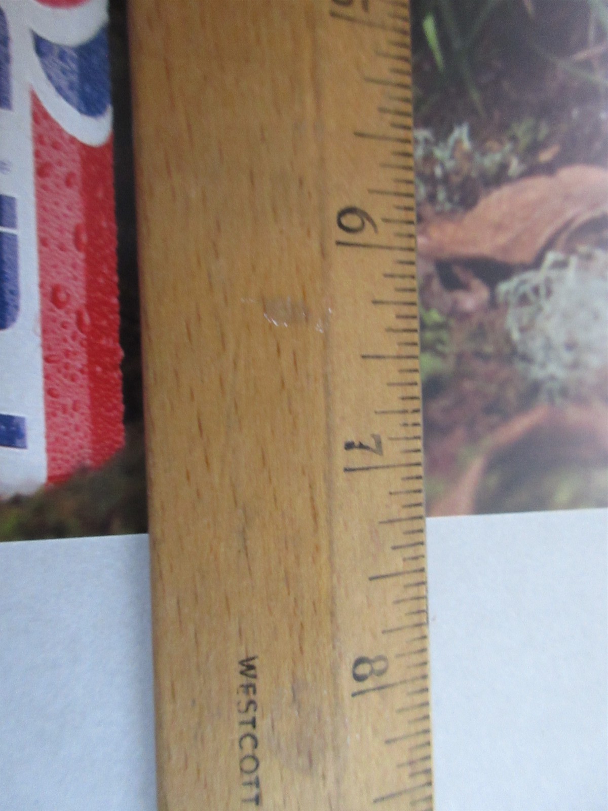 Vintage Pepsi-Cola Pepsi 1995 Display Sign Shelf Tag Discover Congo The Movie