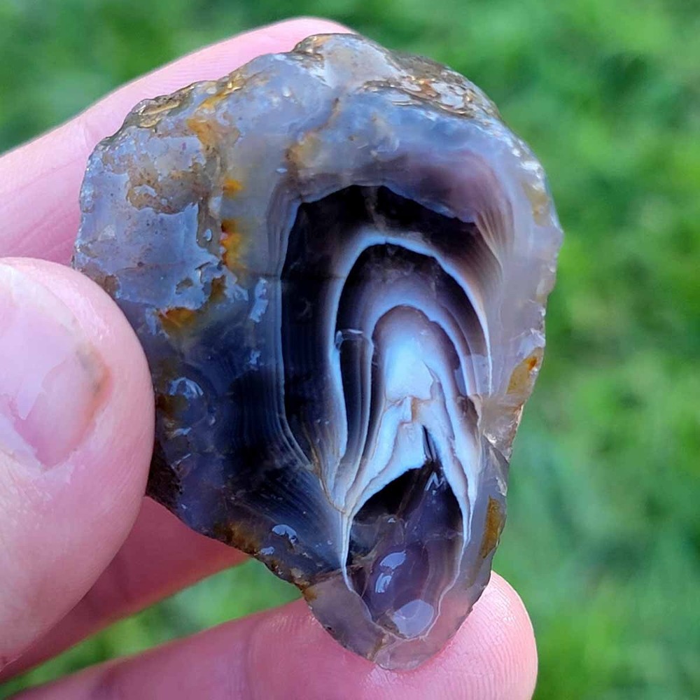 Random Pull RARE Botswana Agate Rough! Old Stock Lapidary Stone Materials!