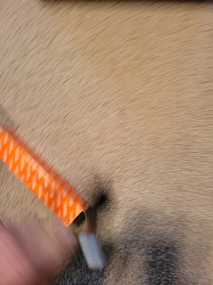 Mitutoyo 937387 SPC Connecting cable for Input Tool 264-007