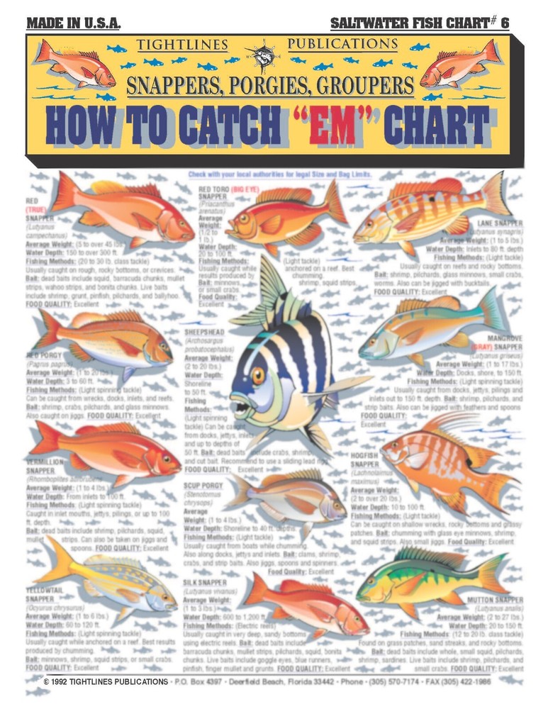 Saltwater Fish Identification #6 -- Waterproof Quick Reference Guide