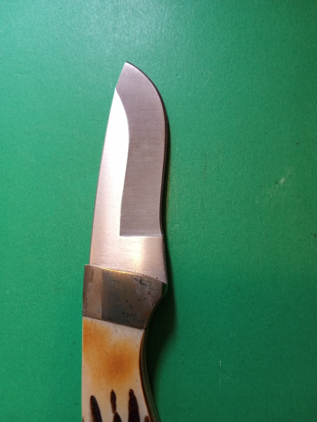 Bear and Son Cutlery USA India Stag Fixed Blade Knife NOS Box and Sheath