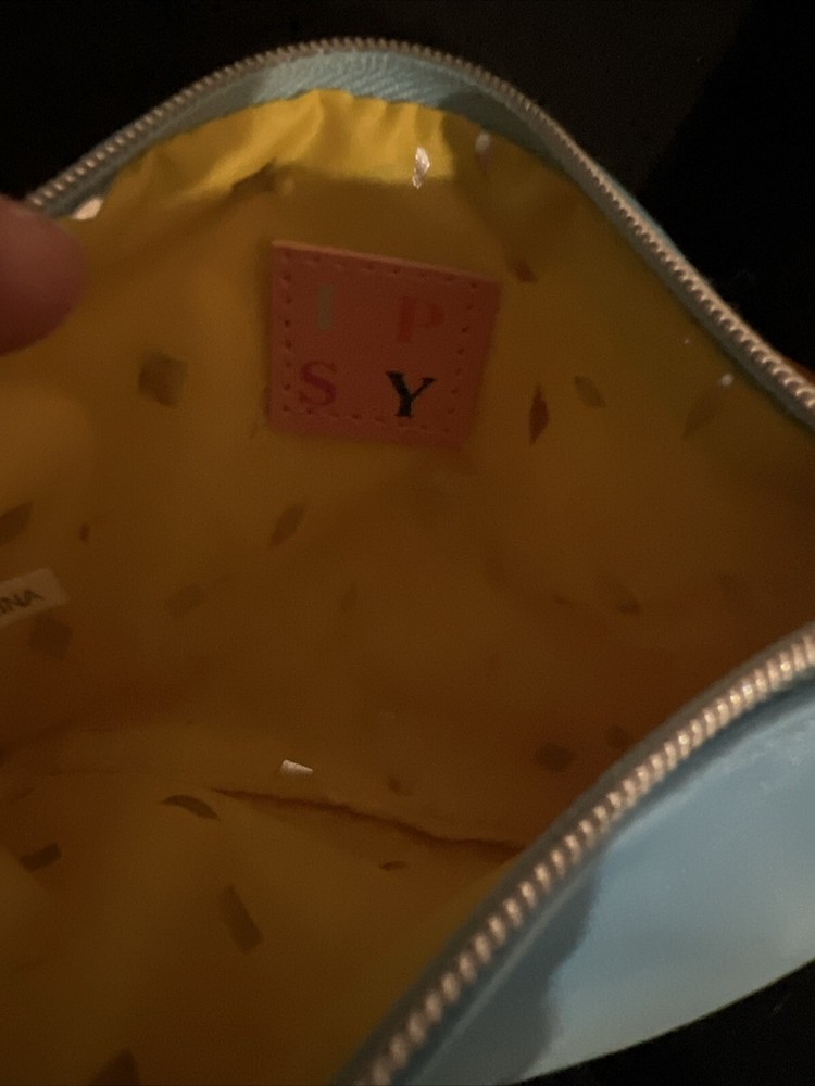 IPSY Make Up Bags
