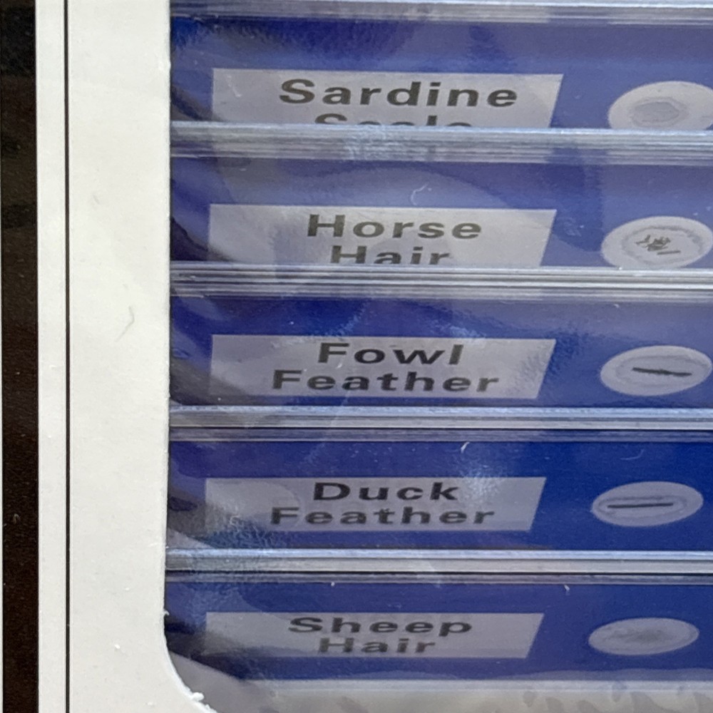 Animal Microscope Slides 12 pc