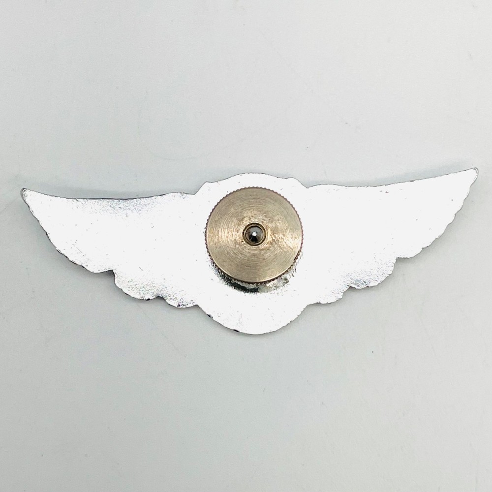 Carey Transportation Inc Wings Pin Cap Bage