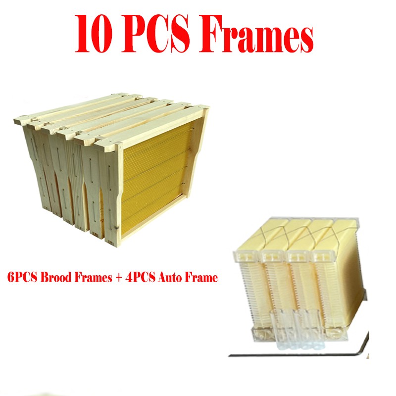 10X Auto Honey Hive Beehive Frames + Beekeeping Brood MINI 2 Layer Box House