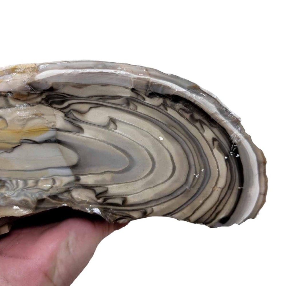 RARE Polish Flint Orbicular Rough Chunk!