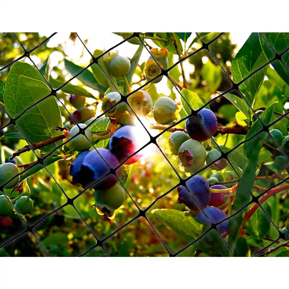 100 Ft. X 14 Ft. Structural Bird Netting