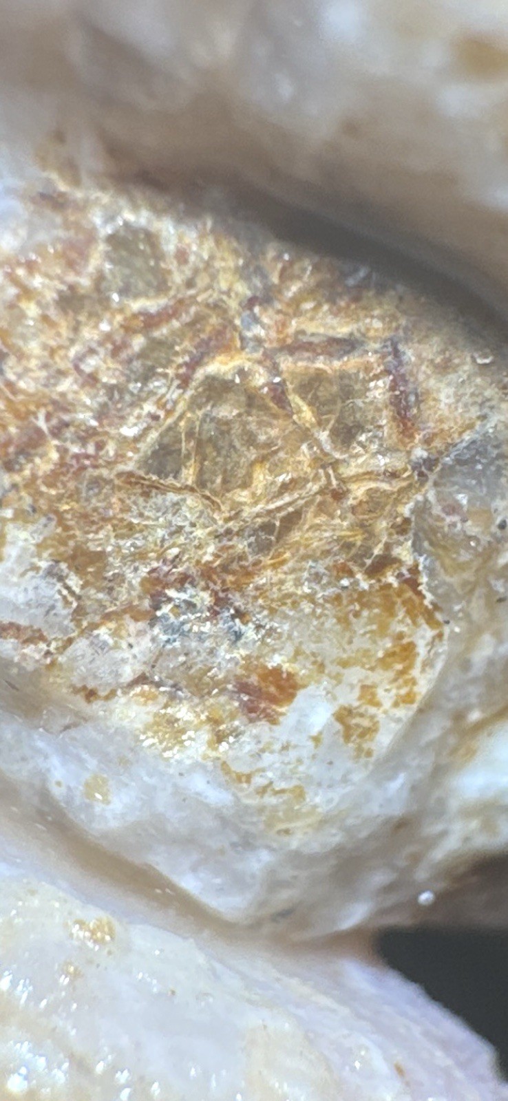 PayStreak™ Gold Ore —🔥 5 lbs 🔥Vein Quartz w/ REAL Visible Gold!