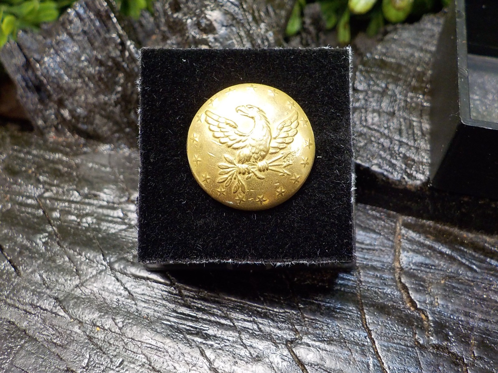 Old Rare Vintage Antique Relic Pre Civil War Militia Officers Coat Button w/Gold