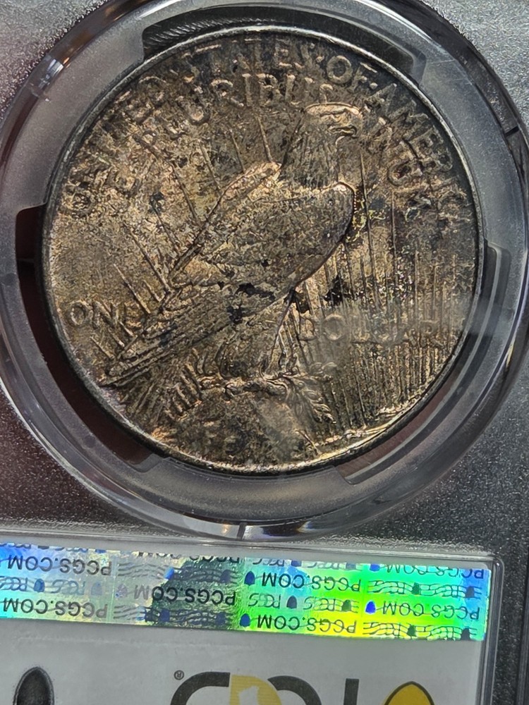 1925 $1 Peace Dollar PCGS MS63 Toned