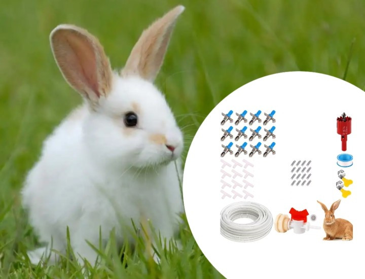 For rabbit Watering System with Dual Spring Design for Clean Hydration