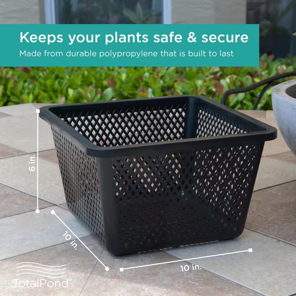 10 In. Square Aquatic Plant Basket