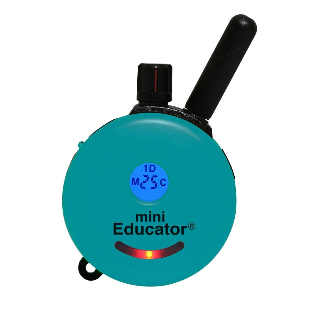 E-Collar Technologies ET-300 Mini Educator Remote Trainer NEW COLOR TEAL!
