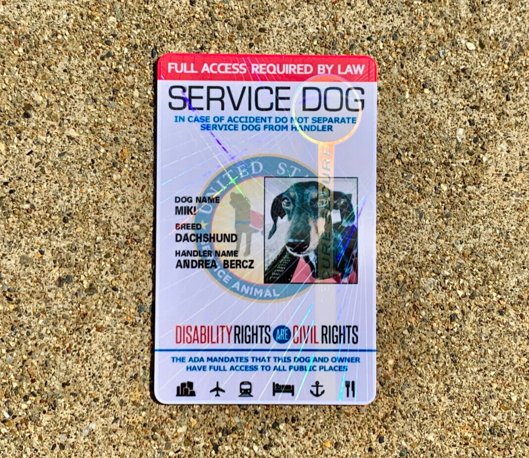 SERVICE DOG ID CARD HOLOGRAPHIC PVC ASSISTANCE ANIMAL ID BADGE TAG FOR VEST