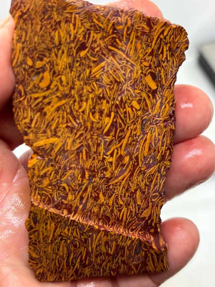 Script Stone Jasper Slab Cabbing Lapidary Collecting Combo Ship Avail