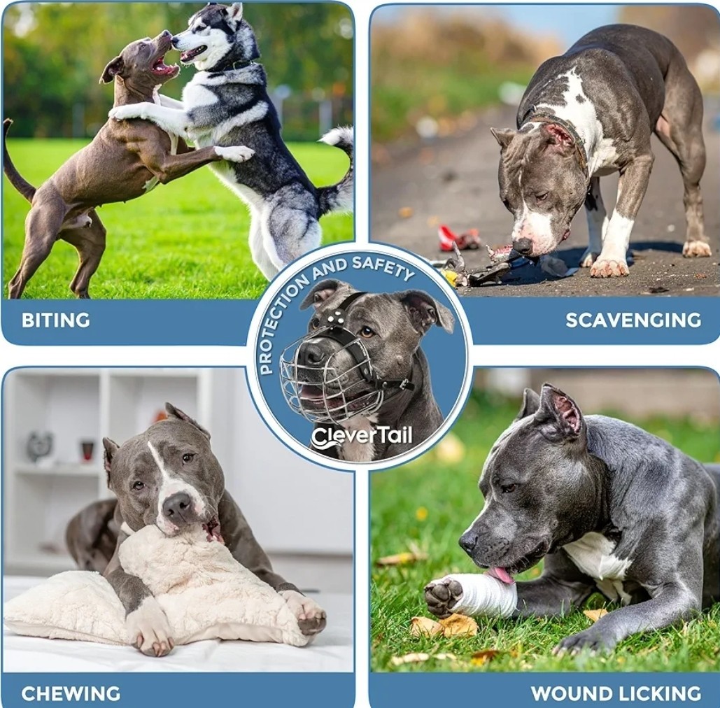 Pitbull Dog Muzzle Breathable Metal Basket for Large Dogs NEW