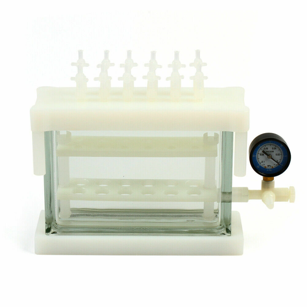 12 Position solid phase extraction vacuum SPE manifold e For Lab areas US Stock
