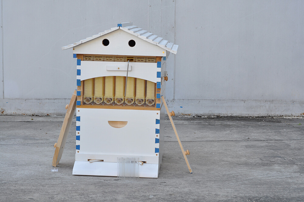 Painted White Auto Shedding Beehives House Boxes+7 Plastic Beekeeping Frames