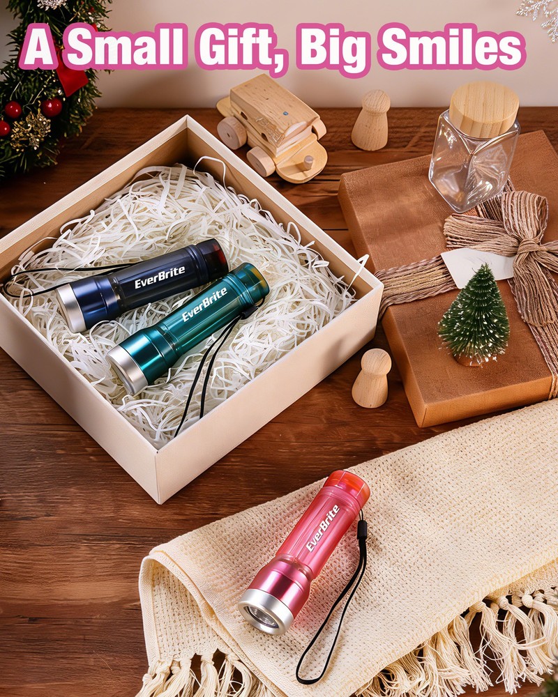 EverBrite 3PCS Compact LED Flashlights with 3 Modes Water-Resistant Flashlight