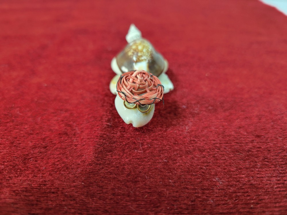 Vtg Tiny Shell Turtle With Red Hat And Glasses 2.5"
