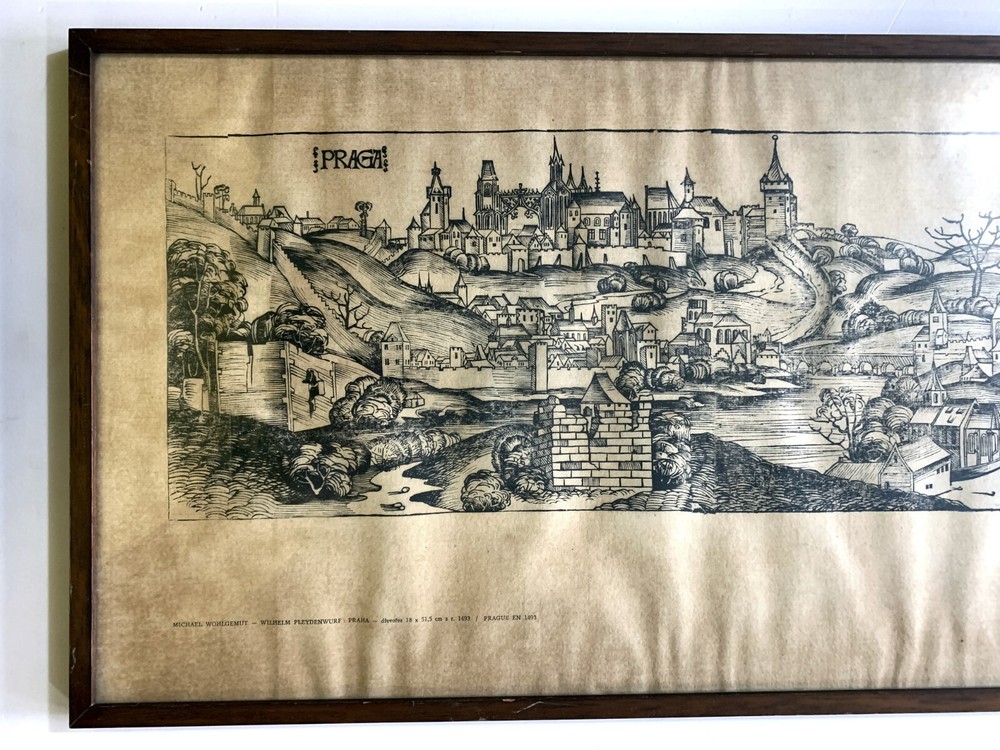STAMPA PRAGA MICHAEL CHEERFULLY WILHELM PLEYDEN THROW ODEON