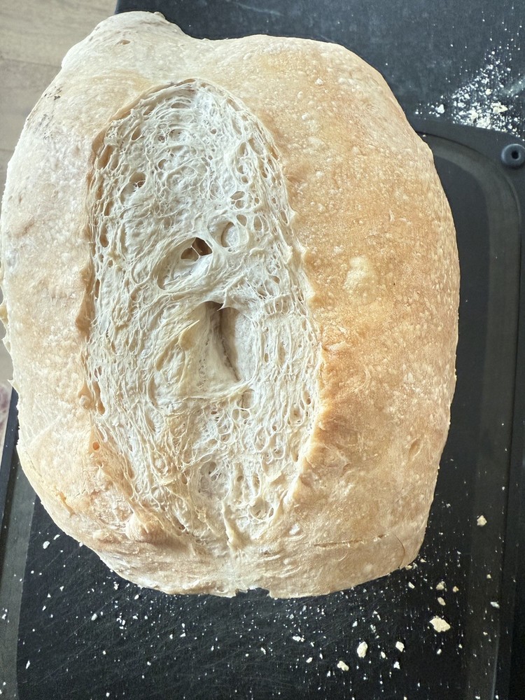 Sourdough starter, Organic Dehydrated And Very Active Starter