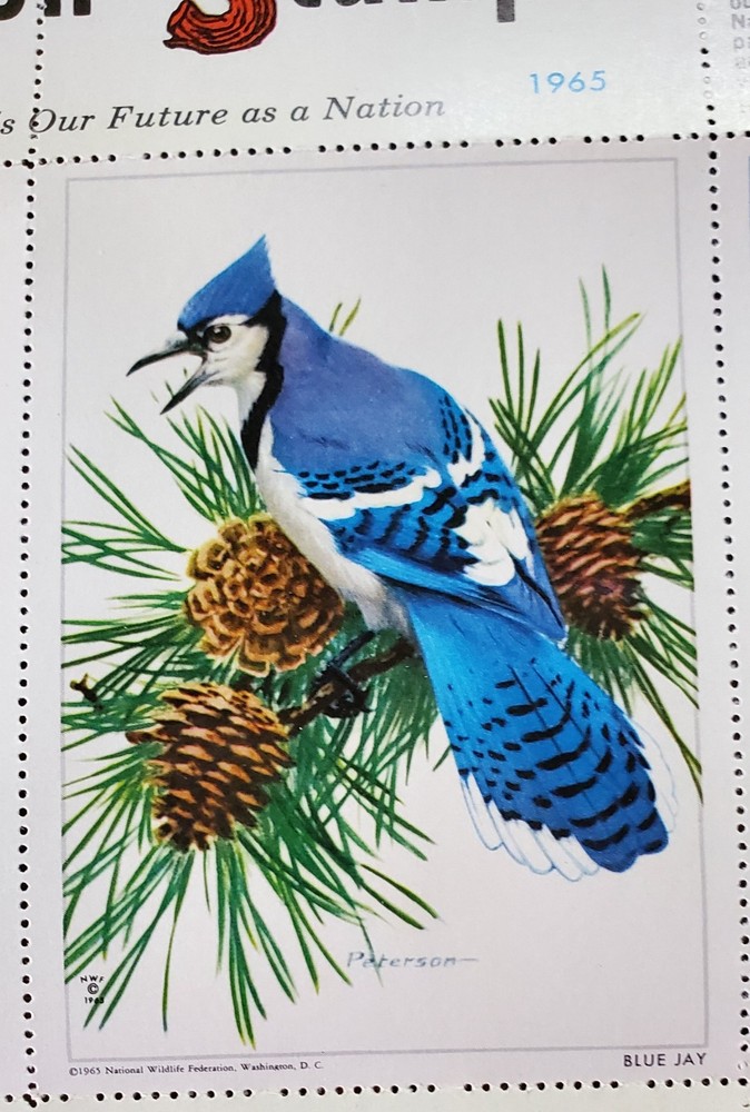 9 FULL Sheets Nat Wildlife Conservation Stamps 1960,61,63,64,65,66,67,69 & 1971