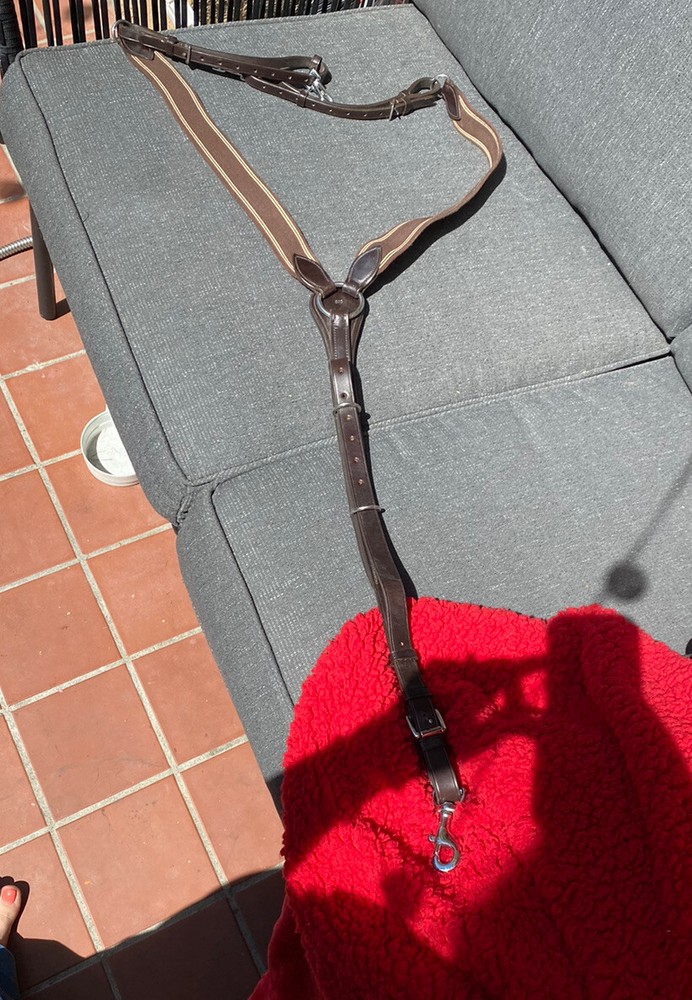 schockemohle martingale