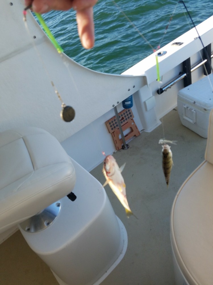 Captain Jimmy's Perch & Crappie Rigs