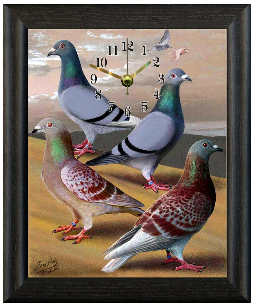 Racing pigeon clock Gift Present wall or freestanding