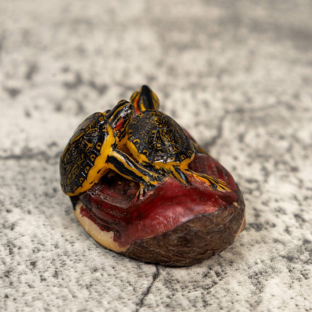 Double Turtle Tortoise Tagua Carving