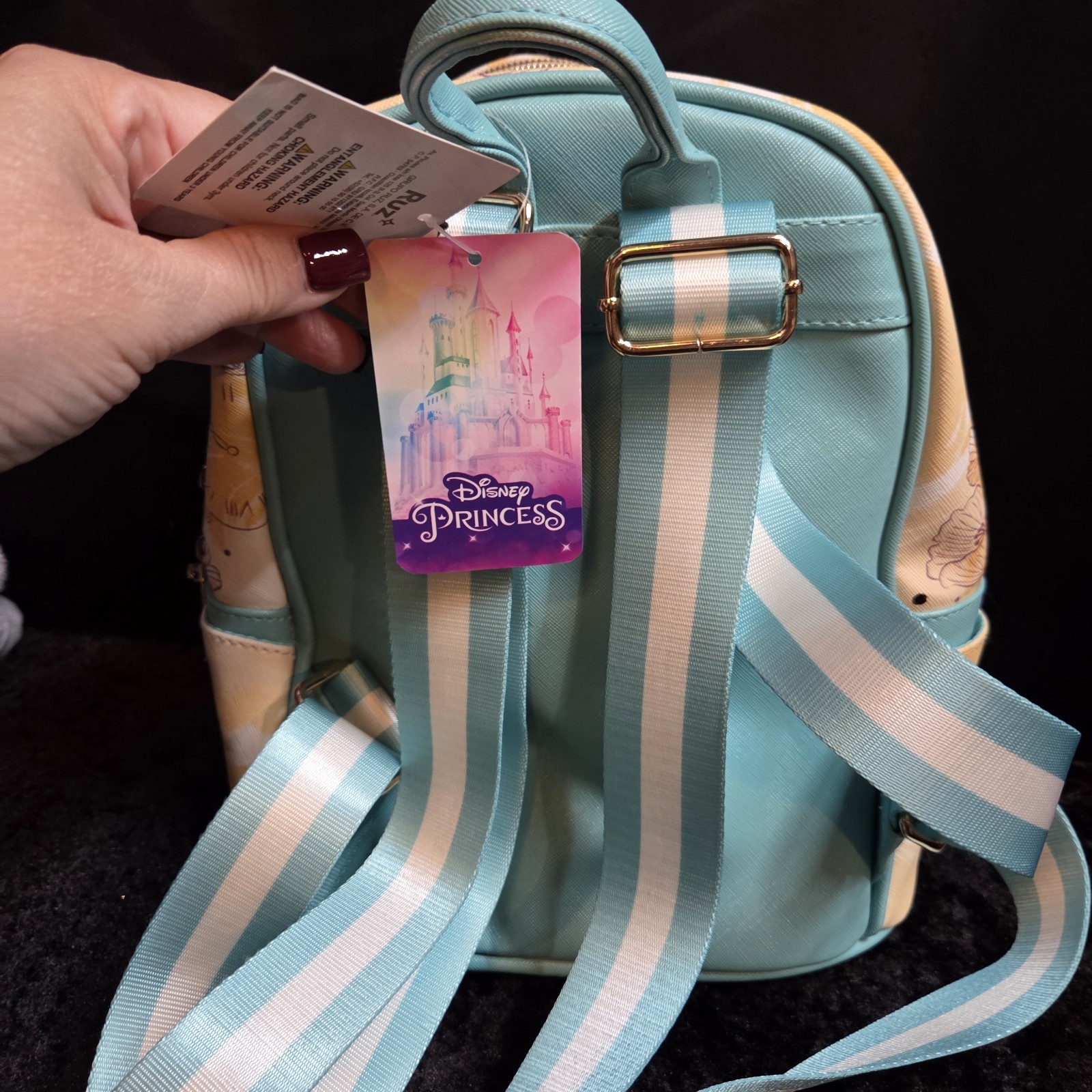 Disney Princess Cinderella Wondapop Backpack Brand new