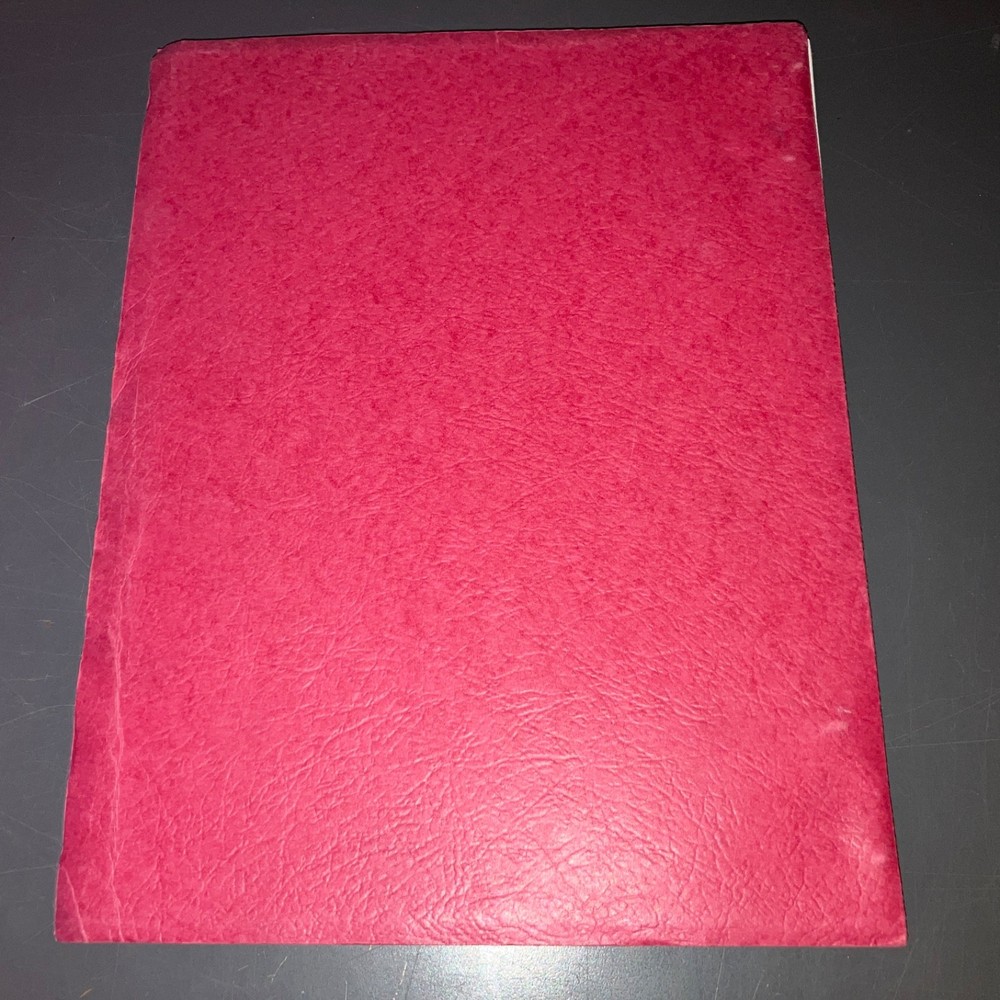 HOOLIGANS ('85) Dean Reisner 9pg Coverage + Donald Stewart Unmade Thriller + COA