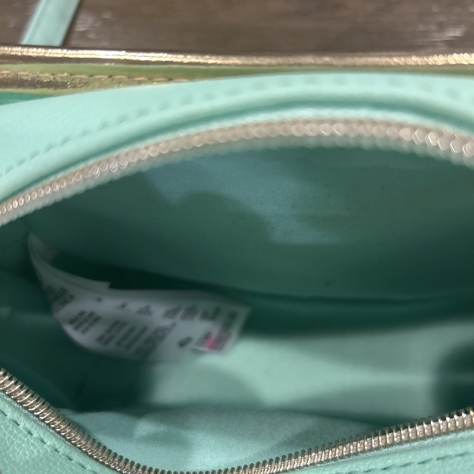 Disney Jasmine & Rajah Beautiful Crossbody Bag Danielle Nicole Teal Sparkle EUC