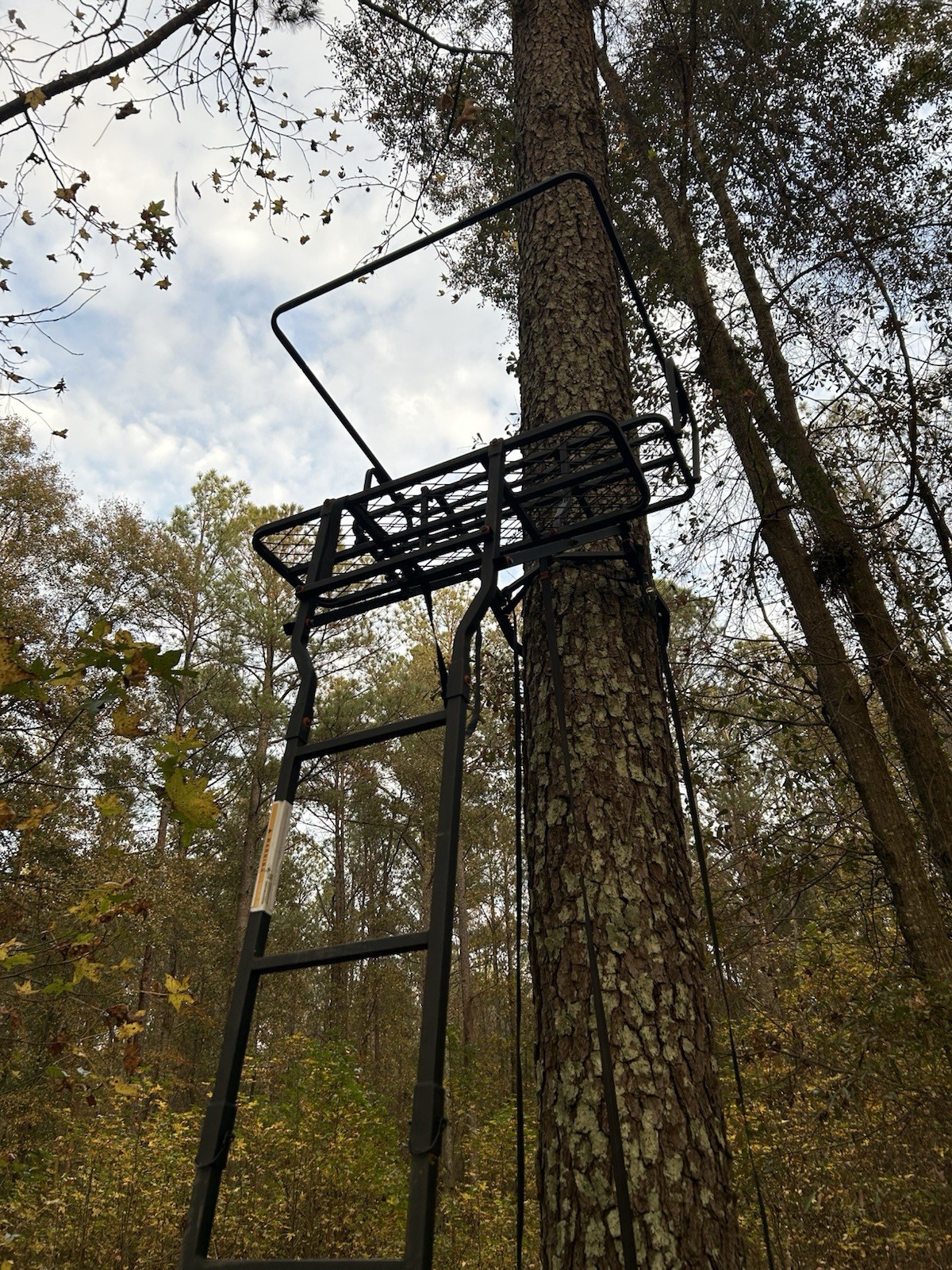 Sportsman’s Guide Gear 15’ Double Shot Jaws Ladder stand