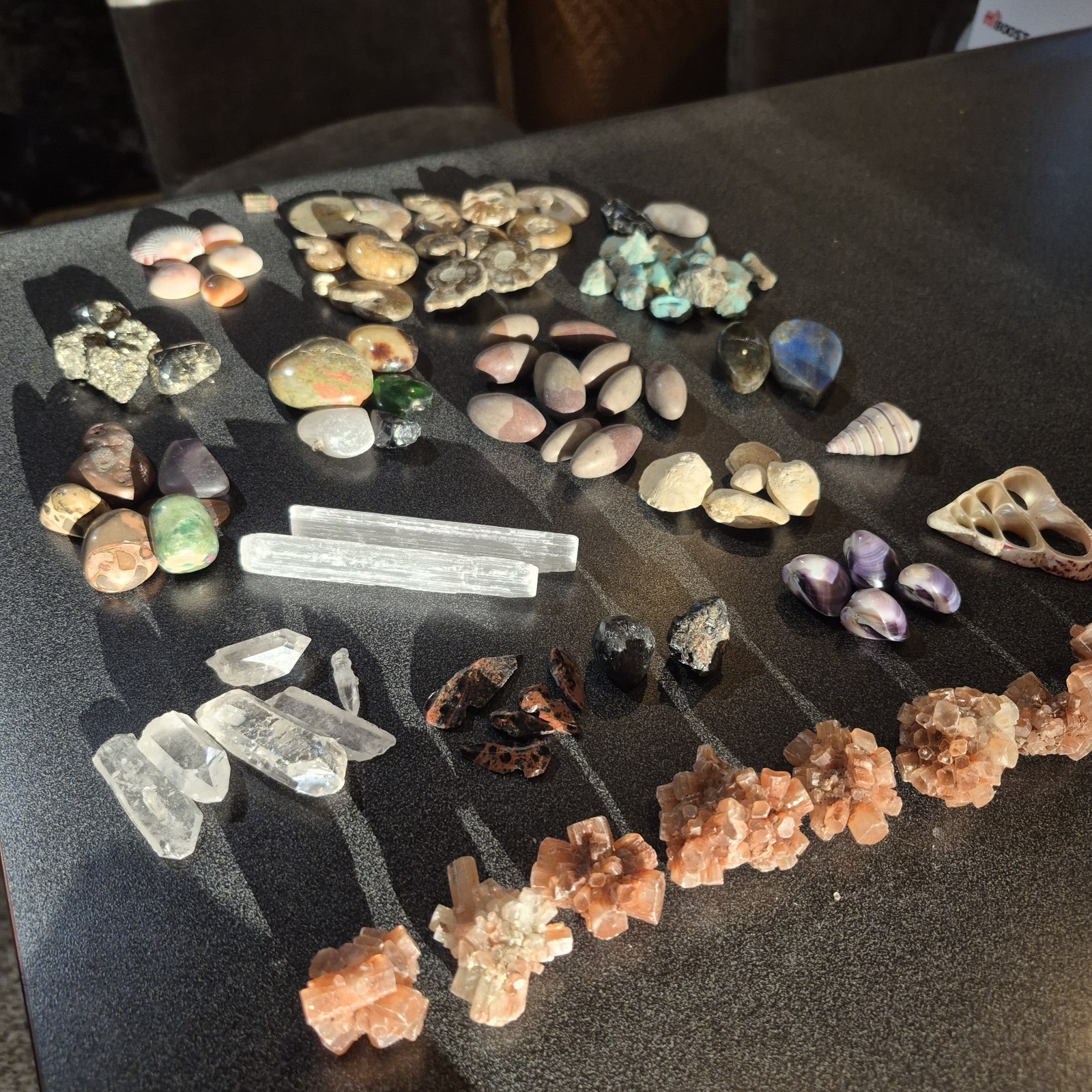 Ammonite Fossils, Crystals, Mineral Specimens, Shells, Cabochons Mixed Lot