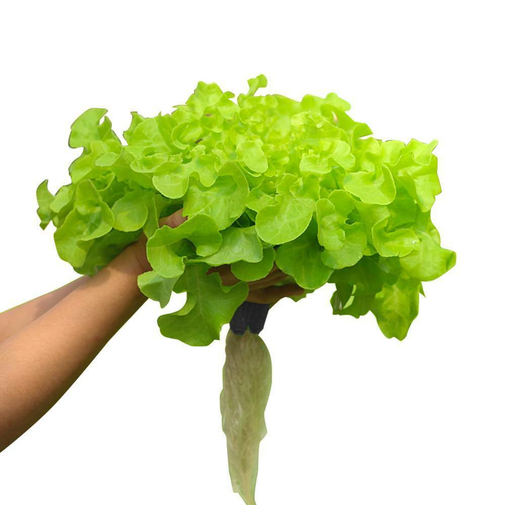 80 Pot Vertical Hydroponics Tower Systems Growing Kit Plant Garden Home US