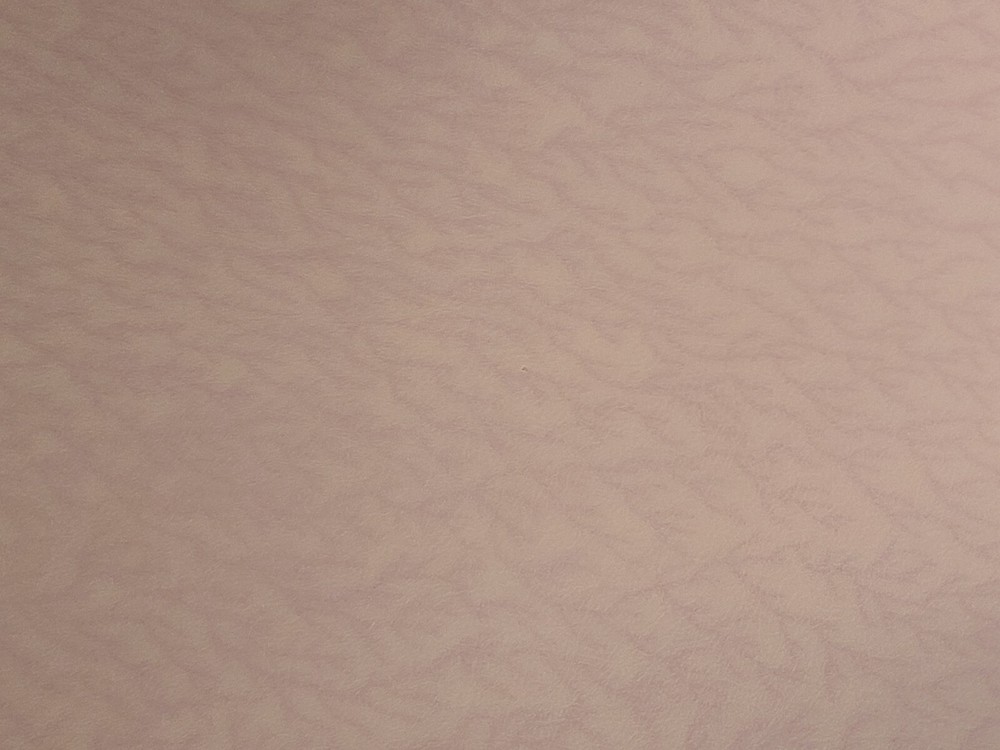 Deer Septum Sheet