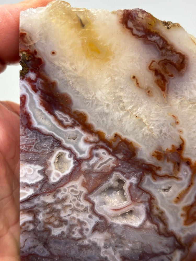 Thick Mexican Red Moss Agate Slab Lapidary Cabbing Combo Ship Avail